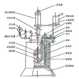 濰坊磁力反應(yīng)釜生產(chǎn)廠家、濰坊磁力反應(yīng)釜、宏協(xié)化工_化工成套設(shè)備_第一槍